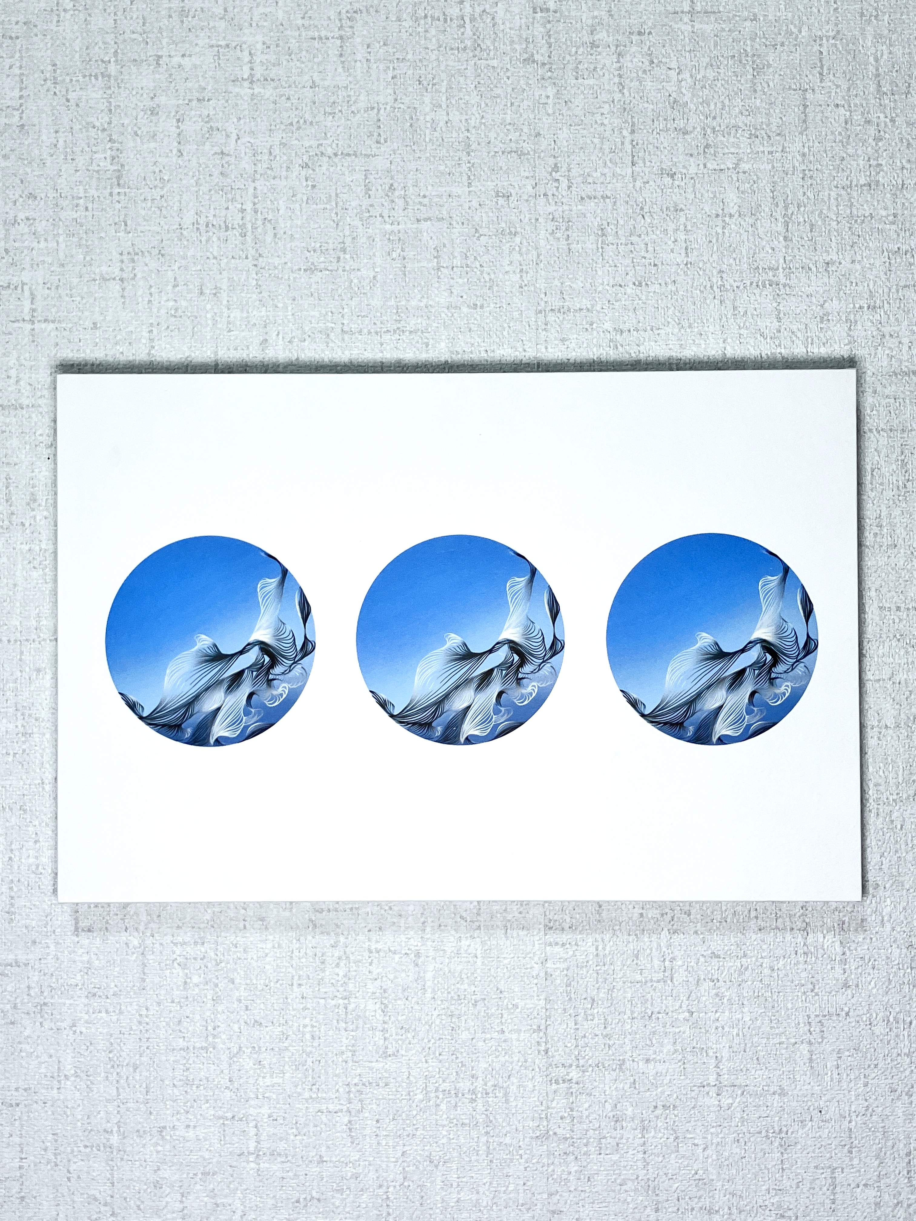 篠山紀信　晴れた日 晴れた日 / A Fine Day（Second Printing） - 篠山 紀信